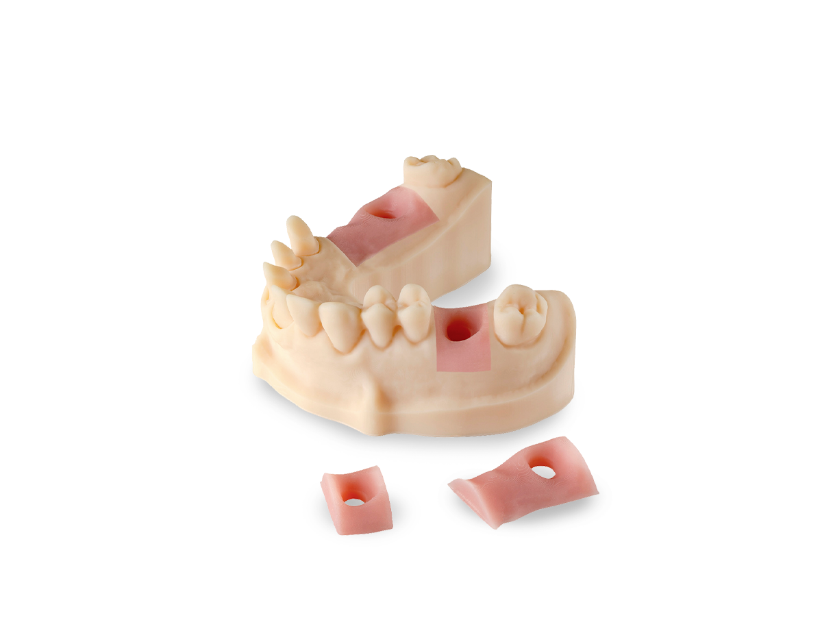 DIVARIO® 3D Gingiva 500 g DIVARIO® 3D Gingiva 500 g