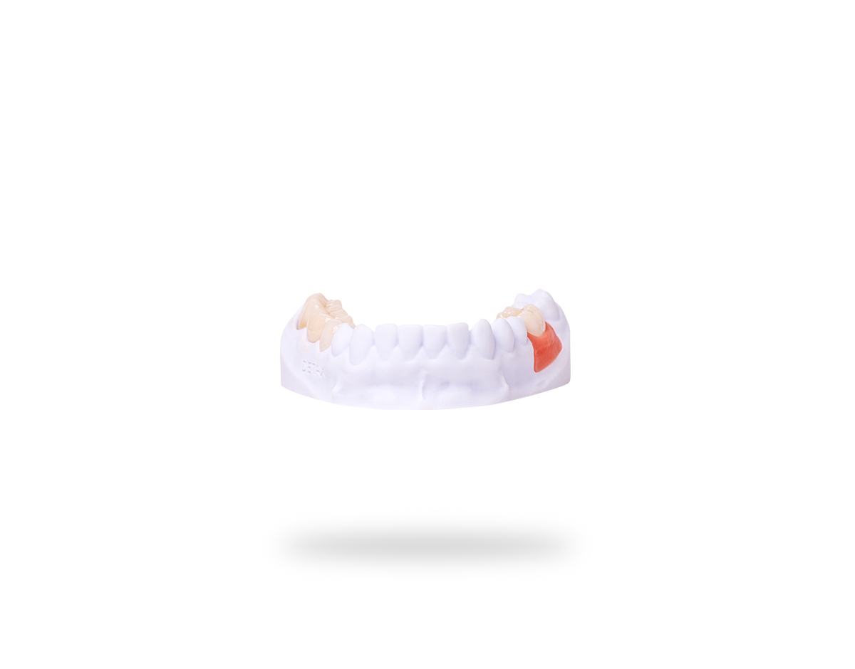 FREEPRINT® gingiva (500 g)