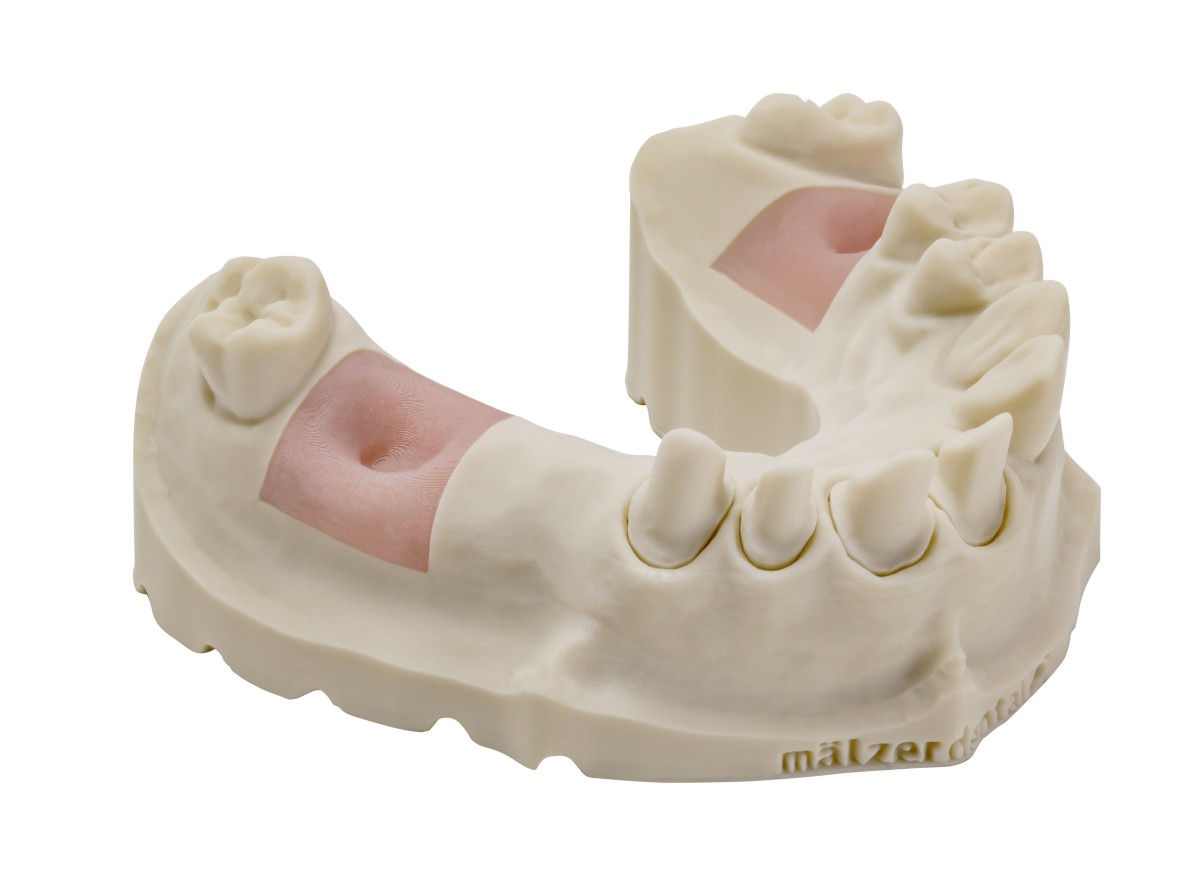 DIVARIO® 3D Model Dental-Resin, 1.000 g