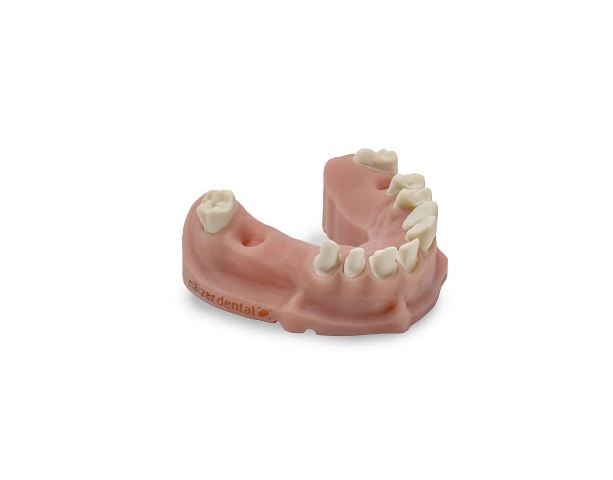 DIVARIO® 3D Model Dental-Resin, 1.000 g DIVARIO® 3D Model Dental-Resin, 1.000 g
