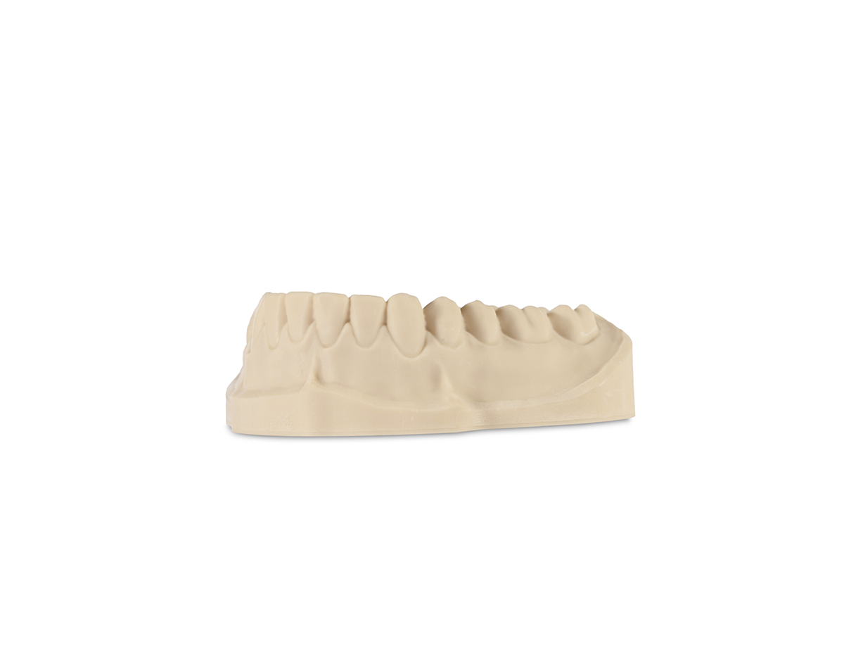 DIVARIO® 3D Model Dental-Resin, 1.000 g