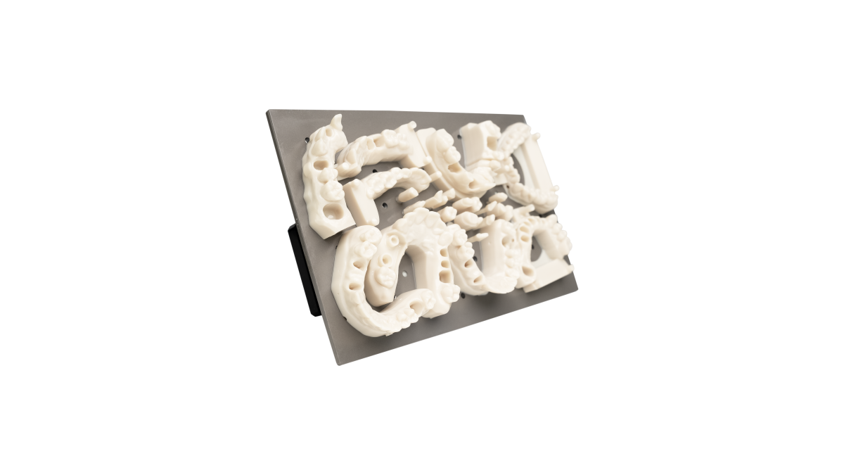 Rapid Shape D50+ 3D Drucker Rapid Shape D50+ 3D Drucker